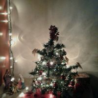 It's christmas time! mi fate vedere i vostri alberelli? - 2