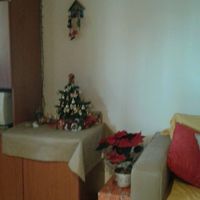 It's christmas time! mi fate vedere i vostri alberelli? - 1