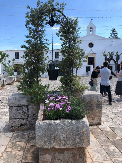 Masseria bella e cibo ottimo - 1