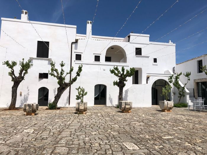 Masseria bella e cibo ottimo - 3