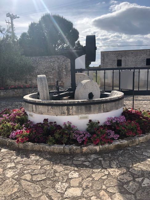 Masseria bella e cibo ottimo - 4