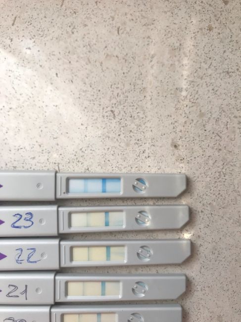 clearblue tappo Viola!! - 2