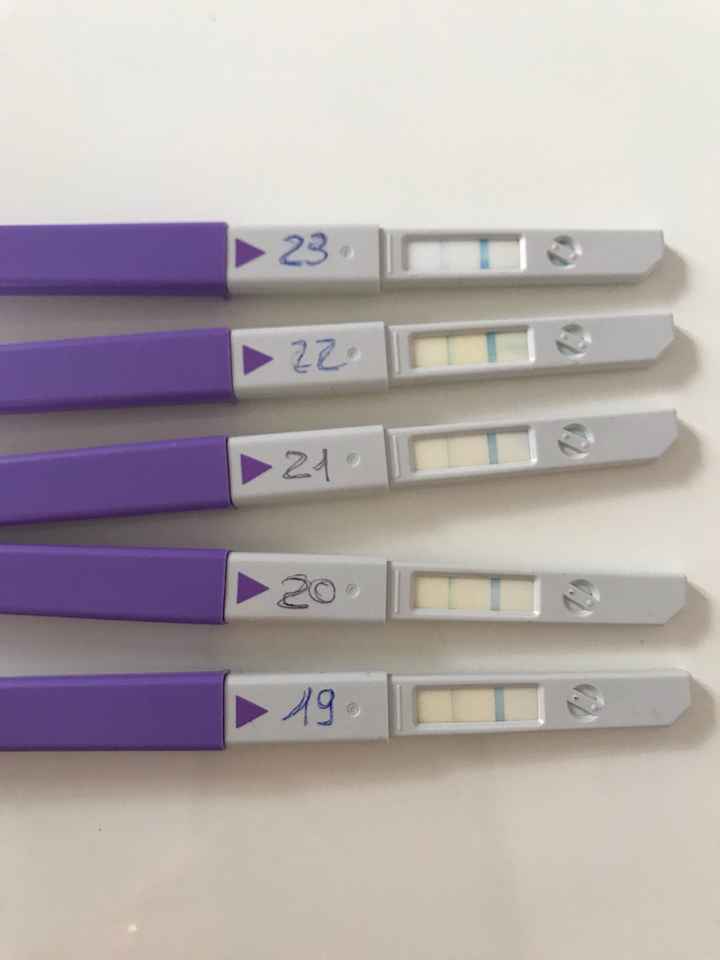 clearblue tappo Viola!! - 1