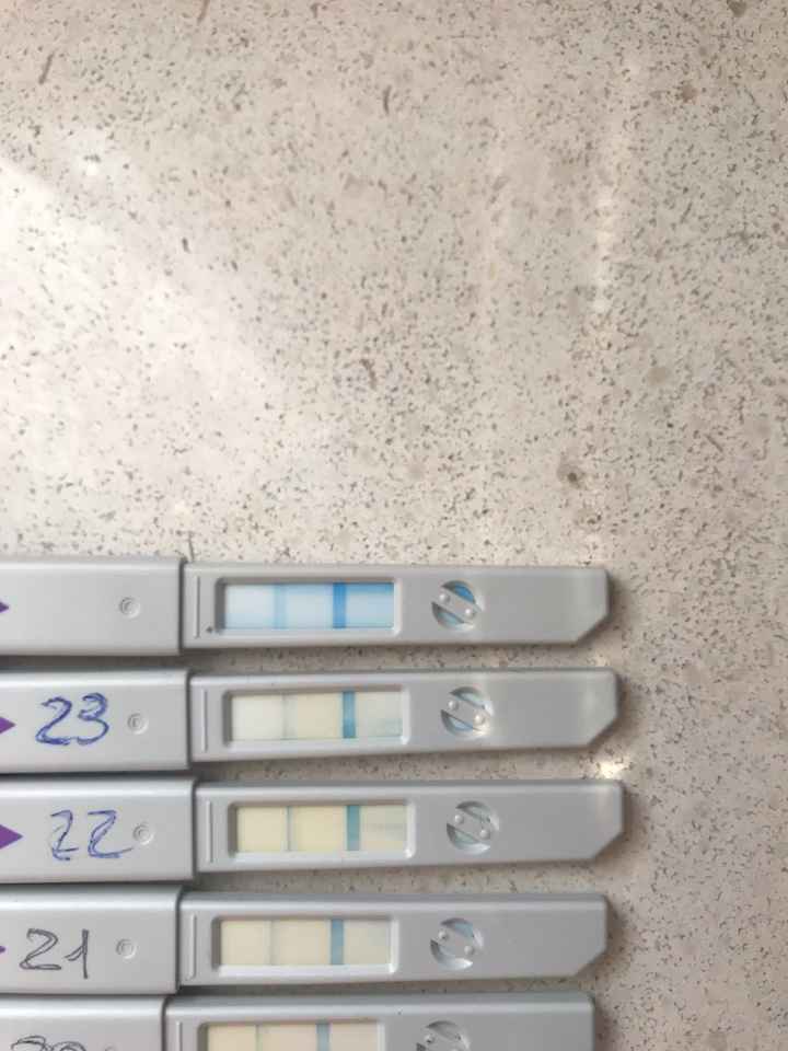 clearblue tappo Viola!! - 2