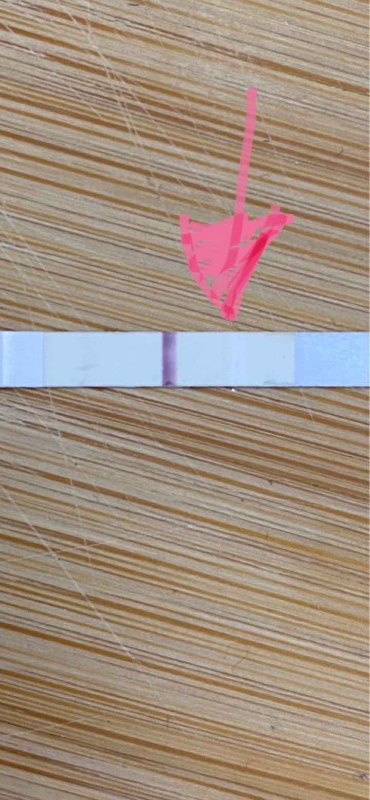 Chi non le aspetta per Maggio 2023 - 1