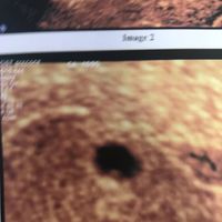 Future mamme di febbraio 2022 - 1