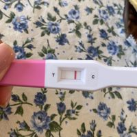 Chi non le aspetta per Maggio 2023 - 1