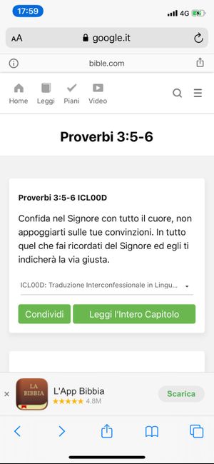 spose agosto 2020 - 1