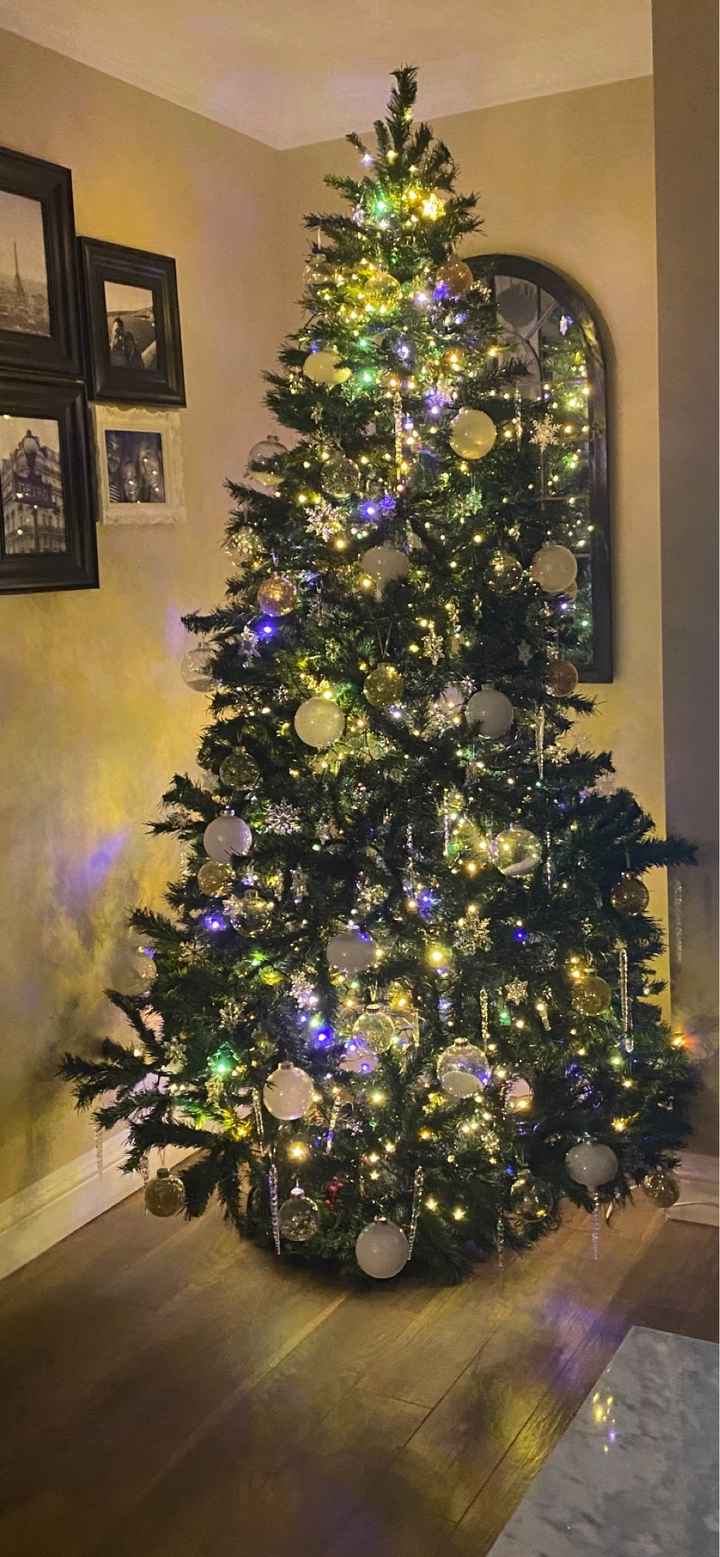 🎄 8 dicembre: l'albero di Natale - 1