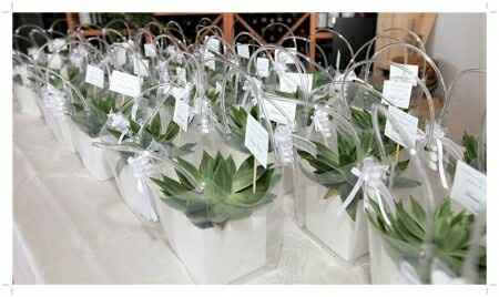 Piantine per boboniere - 1