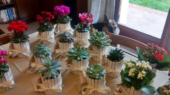 Un consiglio sulle bomboniere - 1