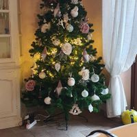 Avete mai fatto l'albero insieme? - 1