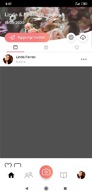 wedshoots assistenza 1