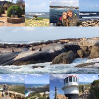 Sposi che celebreranno le nozze il 9 Settembre 2017 - Vicenza - 4