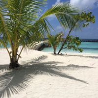 Sposi che celebreranno le nozze il 9 Settembre 2017 - Vicenza - 6