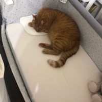 Future mamme novembre 2020 🌞🍁🌷♾ - 1