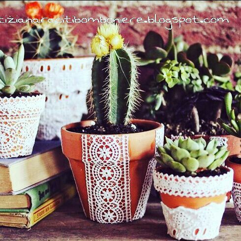 Bomboniera bonsai - 1