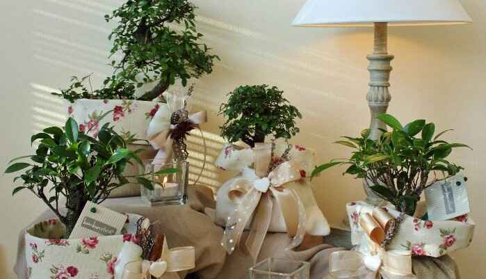 Idee bomboniere - 2