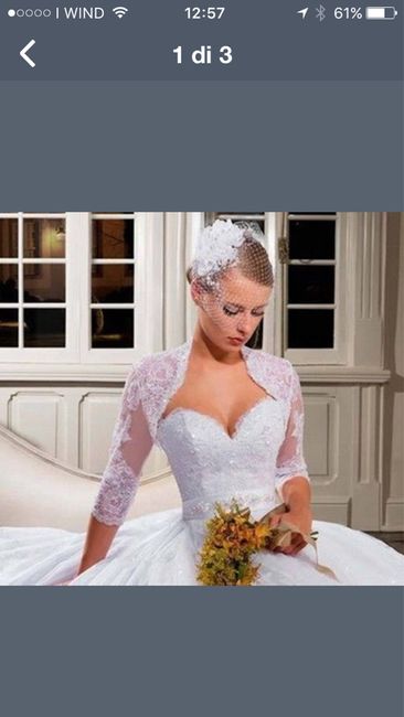 Coprispalle bianco - 4