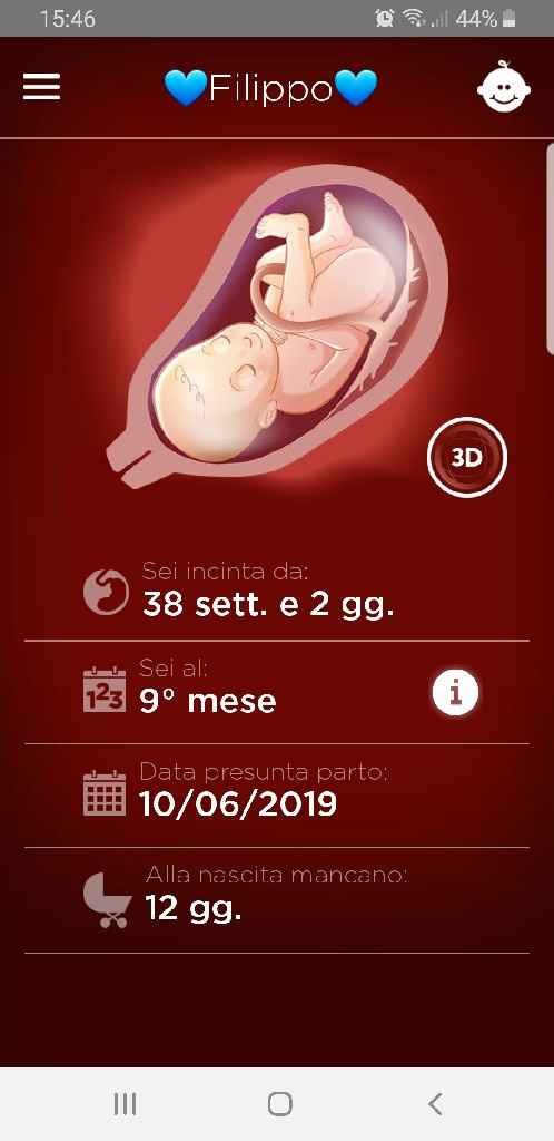 Benvenuta settimana 37 - 1