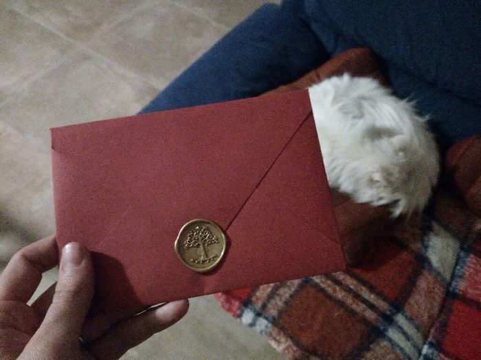 Partecipazioni help - 1