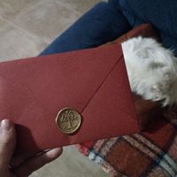 Partecipazioni fai da te - 1