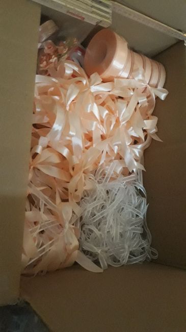 Fiocchi a volontà - 1