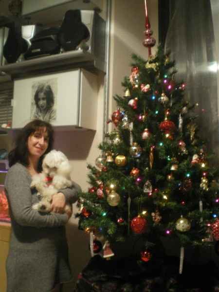 il nostro alberello di natale