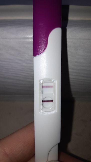 Chi non le aspetta per gennaio 2020 - 1