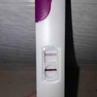 Chi non le aspetta per gennaio 2020 - 1