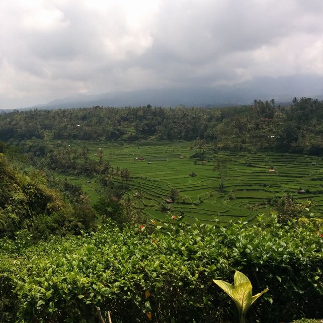 Foto di Bali - Indonesia  - 6