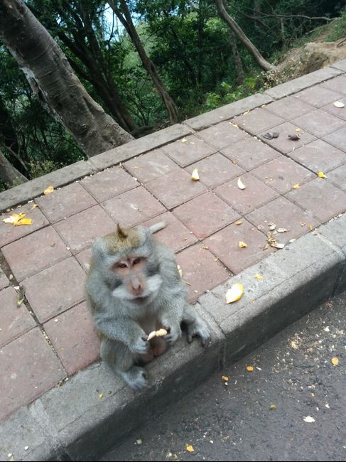 Foto di Bali - Indonesia  - 4