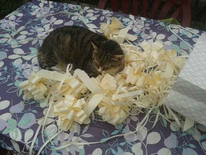 Foto foto e foto  - 2