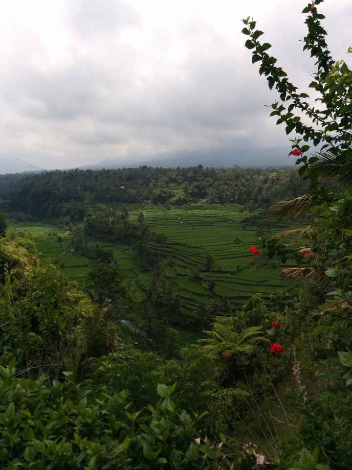 Foto di Bali - Indonesia  - 0