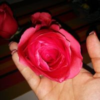 Fiori del matrimonio!  - 4