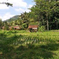 Foto di Bali - Indonesia  - 9