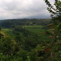 Foto di Bali - Indonesia  - 0