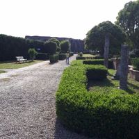 Foto matrimonio - 2