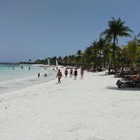 Situazione alghe in Messico - 1