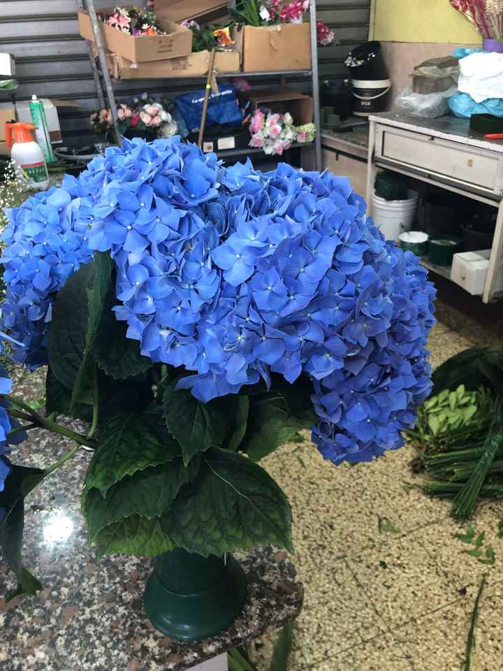 Colore matrimonio - 1