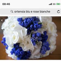 🎁 Hai scelto un tema per il tuo matrimonio? 🎁 - 1