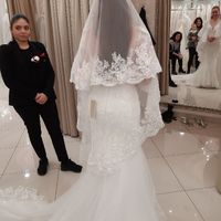 Aspettativa vs realtà - Il velo - 1