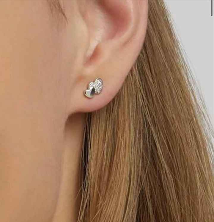 Consiglio orecchini - 1