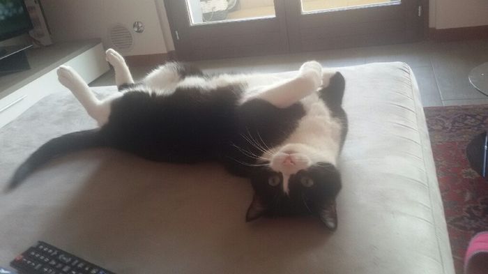 Ecco il nostro "bimbo" - 1