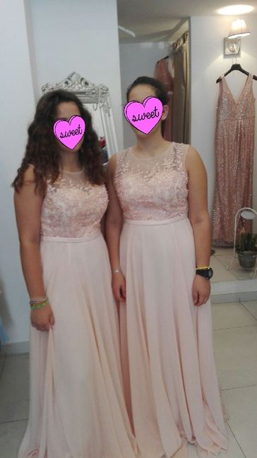 Le mie damigelle - 1