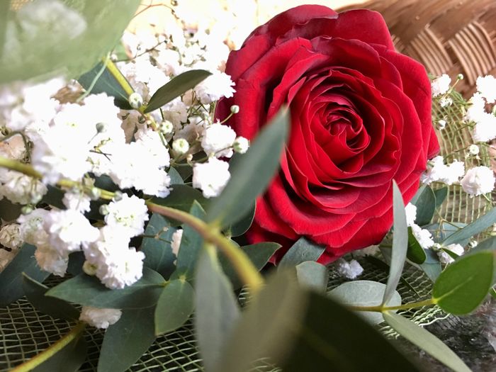 Ultimo San Valentino da fidanzati - 2