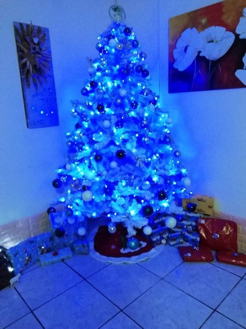 Vi piace il nostro albero di Natale? - 1