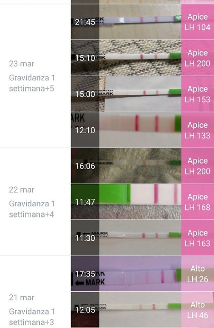 Canadesi mi aiutate a leggerli? 2