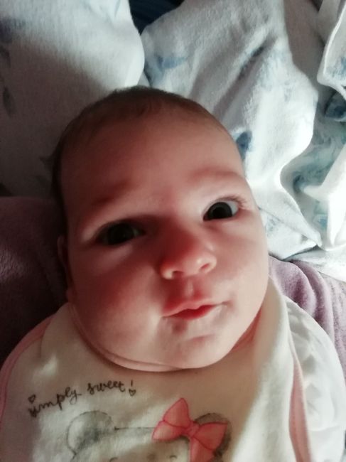 Future mamme "dicembrine" 2019 💙💗 - 1