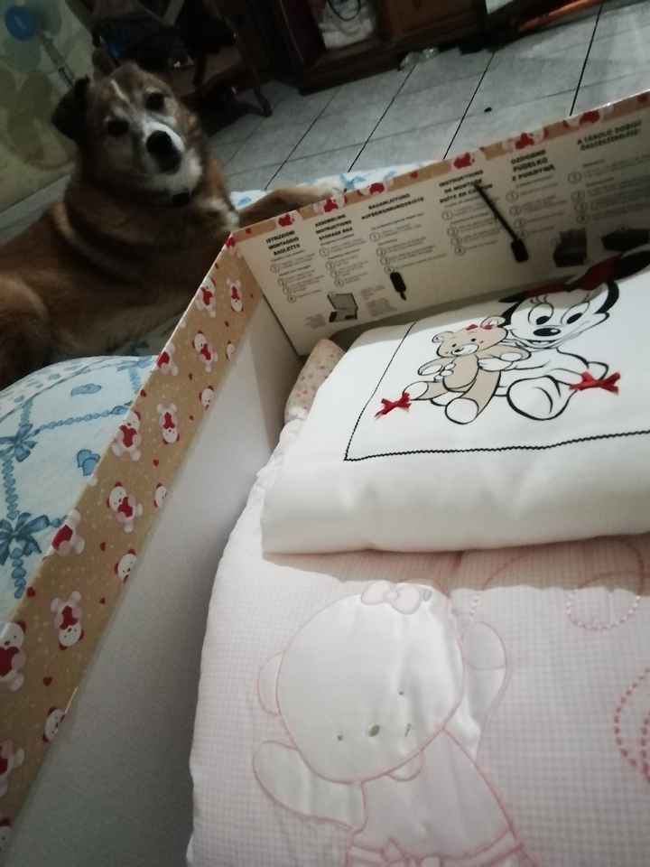 Future mamme "dicembrine" 2019 💙💗 - 1